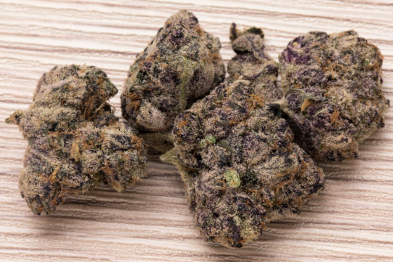 top shelf exotic cannabis buds