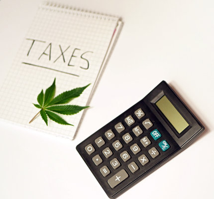 taxes written on notepad; cannabis leaf and calculator