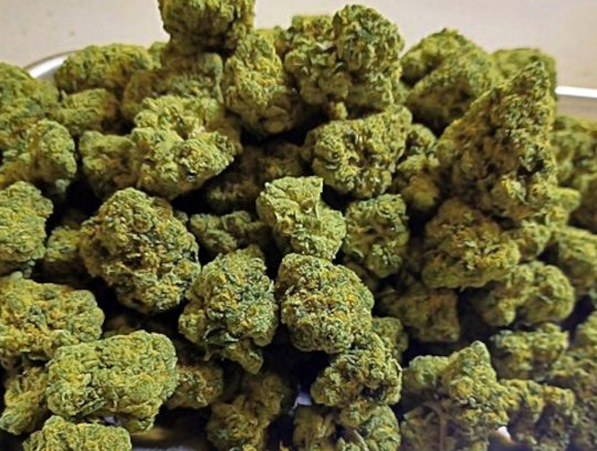 commercial grade cannabis buds