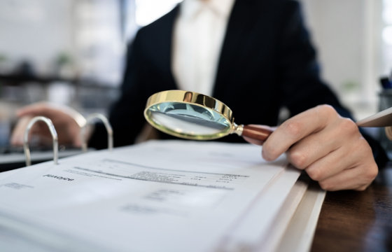 woman auditing financial documents