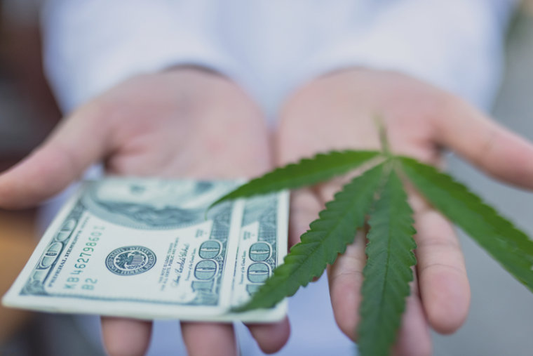 cash and cannabis leaf in hands