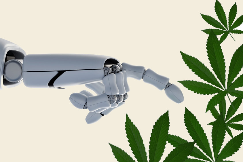 robot hand touching cannabis leaves