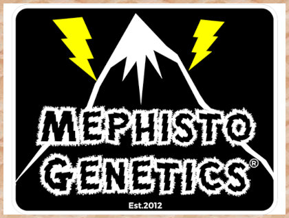 Mephisto Genetics logo
